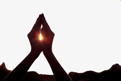 《南歧之见》(刘元卿)文言文全篇翻译