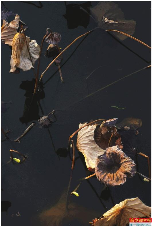 冬藏是立冬还是冬至?