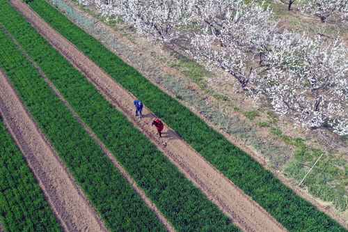 春满大地百花吐艳 对两个下联,词性要对,字不能重复