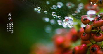 “和风细雨”的意思是什么?如何造句?