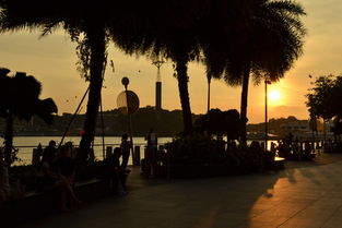 boardwalk empire，boardwalk下载