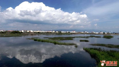 海北州有几个县城