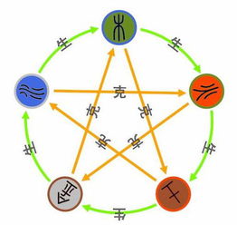 属于木的五行的字