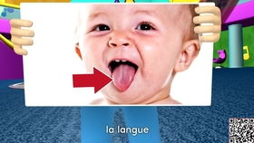 antonyms，antonyms 翻译