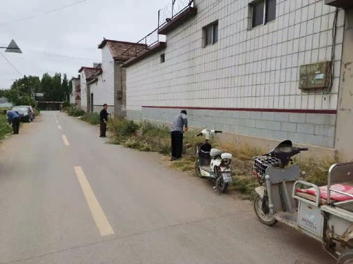 下河村位于哪个市