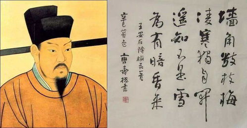 《半山春晚即事·王安石》原文与赏析