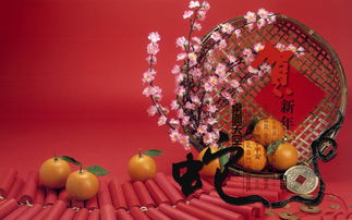 谁能解释一下白居易的《岁除夜对酒》?