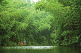 东方欲晓,莫道君行早,踏遍青山人未老,风景这边独好,是毛主席哪首诗词