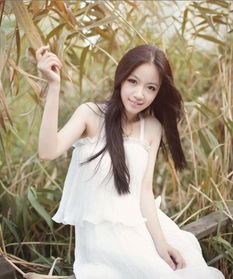 校花的修仙强者