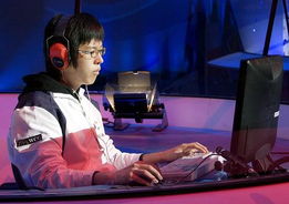 storks 翻译，stork怎么读