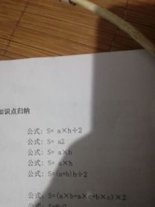 数见不鲜读音，数据读音