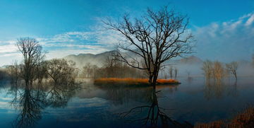 镜水楼台先得月，镜水夜来秋月