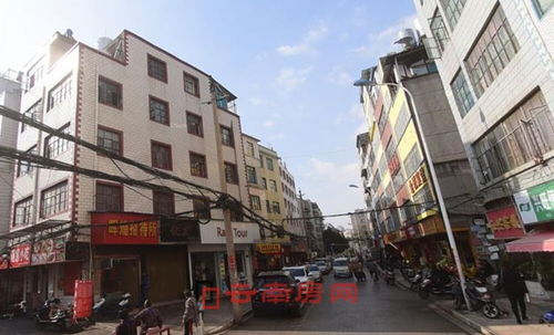 大树营讲英语什么意思