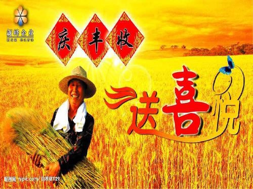 多收了三五斗为何退出教材，多收了三五斗感悟