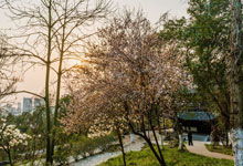 南陵天气预报30天准确一览表，安徽南陵天气