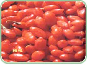 三颗枸杞豆读后感