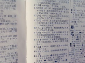 旅字组词，放字组词三个字