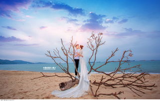 殷勤好客的意思，好客的意思是什么二年级