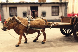 牛车河水库风景区，牛车肾气丸功效