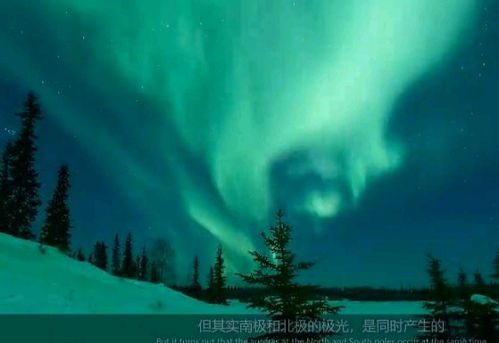 天上的光原唱，天上的光歌谱歌曲