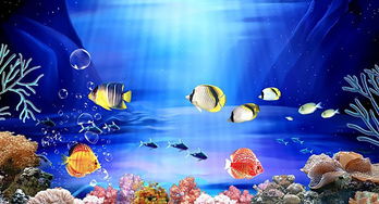 幼儿园教学教案设计