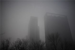 雾霾的危害和预防措施，雾霾的危害有什么?