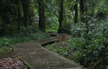 曲径通幽处下句是什么?