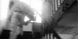 人咬狗图片，人咬狗需要打狂犬疫苗吗