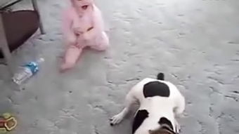 狗可以咬人,为什么人不能咬狗?