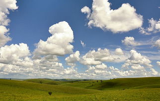 人生不过白云苍狗的意思，釜底抽薪的意思
