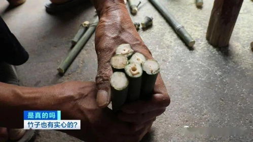 嘴尖皮厚腹中空下一句是什么，山间竹笋,嘴尖皮厚腹中空