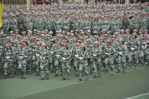 兵妹妹歌词，兵妹妹简谱刘一祯唱