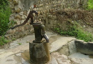 渴而掘井的意思