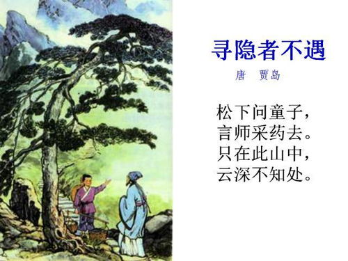 三年级下册古诗有哪几首?