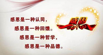 我感恩,我______作文600字，我感恩还不行吗