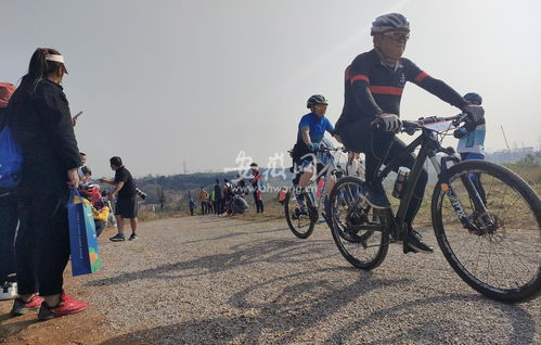 中国自行车赛事有哪些