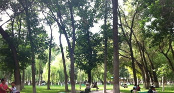 游憩服务的研究方向