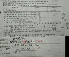 作业订正是什么意思，试卷订正是什么意思