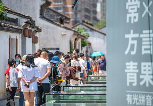 浑身解数拼音，押解拼音怎么读音组词