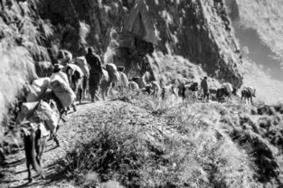 卡字的多音字组词