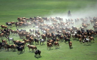 万马齐喑是什么意思