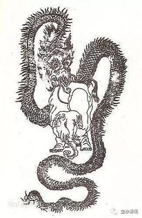 巴蛇吞象是什么意思?成语出处及详细词语解释