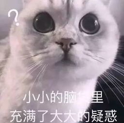 民间疾苦的意思，众生疾苦的意思