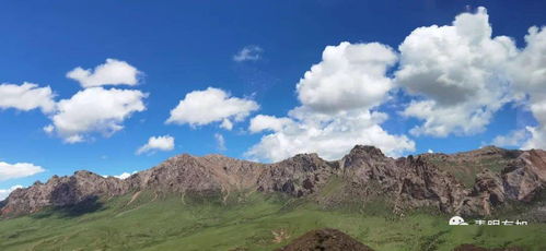 铁马冰河入梦来是哪首诗里的，铁马冰河入梦来是谁的诗句