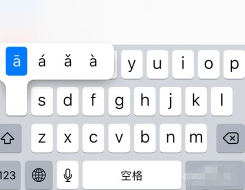 apple(苹果)的音标怎么写?