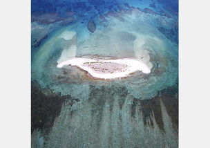 seesaw咖啡加盟，seesaw是什么意思