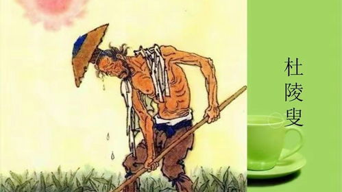 赏析白居易《杜陵叟》