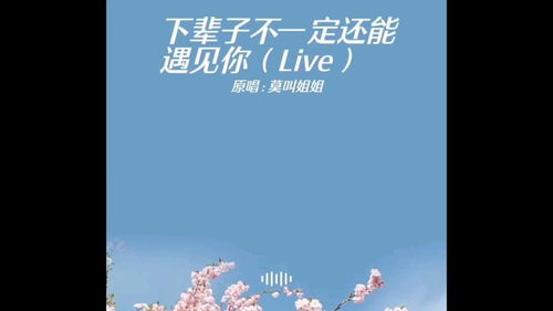 如果下辈子还能遇见你是什么歌