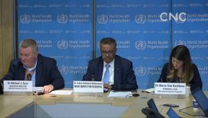 hoarding翻译，hoarding syndrome