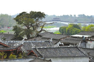 遗风古道，遗风的拼音